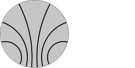 Kirchhoff Institut fuer Physik